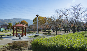 桜の広場